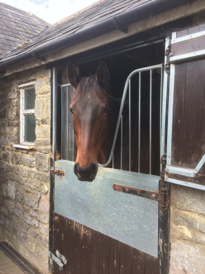 Lime Trees Farm Bed & Breakfast Bicester Luaran gambar